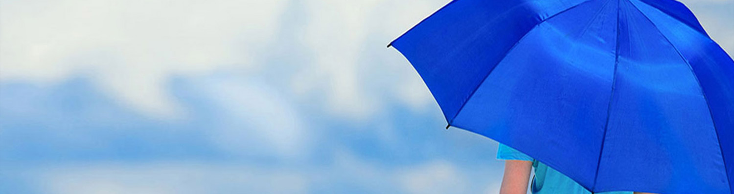 Michigan Umbrella Insurance Coverage